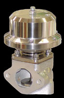 Wastegate Pro Gate ITS